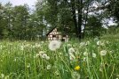  Biotop an der Streu mit der Wiesthaler Ölmühle im Hintergrund.