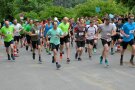 Start der Crossläufer.