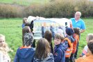 Mädchen und Jungen des Hendunger Kindergartens pflanzen mit Unterstützung eines Erwachsenen einen Obstbaum im neuen Mustergarten an der Mellrichstädter Straße.