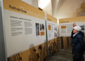 Ausstellungsbesucher betrachten Schautafeln zum Thema „Flucht nach Europa“