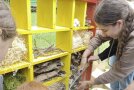 Die Schülergruppe stellt das Insektenhotel auf seinen endgültigen Platz.