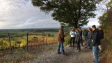 Der Örtlich Beauftragte unterhält sich mit Studenten unter einem großen Baum am Panoramaweg. Blick über Weinberg und Felder in Richtung Traustadt