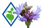Eine Biene sammelt Nektar auf einer Kornblume. Im Hintergrund das Symbolbild der Ländlichen Entwicklung in Bayern, eine blaue Raute, mit stilisiertem Dorf und Bäumen in grüner Farbe
