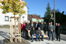 Wesentliche Beteiligte an der Dorferneuerung in Baldersheim reihten sich anlässlich der Pflanzung einer Jubiläumslinde zum Gruppenfoto auf. Rechts vorne Baurat Stefan Mehlig vom ALE Unterfranken und Bürgermeister Roman Menth.