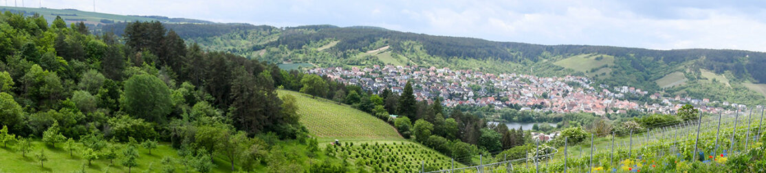 Weinberge Tobias Hase