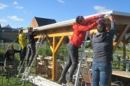 Drei Jugendliche auf Leitern befestigen mit Akkuschraubern das Profilblech der Dachkante einer Pergola. Zwei Männer beobachten das Geschehen vom Boden aus.