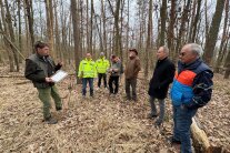 Mehrere Personen stehen in einem Wald und bewerten dessen Zustand.