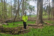 Der Mitarbeiter der Ländlichen Entwicklung steht in einem Wald.