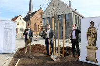 Amtsleiter Jürgen Eisentraut, Bürgermeister Thomas Bruckmüller und Landrat Thomas Habermann pflanzen eine Linde am Dorfplatz in Wollbach. Ein Schaubild zeigt die derzeit noch nicht wieder aufgestellte Statue des heiligen Bonifatius. Im Hintergrund das Rathaus und die Kirche von Wollbach.