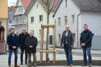 Über eine Jubiläumslinde in Gössenheim freuen sich (von links) Joachim Sauer, Rainer Glück, Klaus Schäfer, Stefan Mehlig und Erich Fenn.