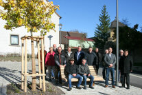 Wesentliche Beteiligte an der Dorferneuerung in Baldersheim reihten sich anlässlich der Pflanzung einer Jubiläumslinde zum Gruppenfoto auf. Rechts vorne Baurat Stefan Mehlig vom ALE Unterfranken und Bürgermeister Roman Menth.