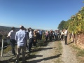 Örtlich Beauftragter und Winzer Reinhold Hillerich informierte vor einer Buntsandsteinmauer stehend über den Terrassenweinbau und die Leistungen der Ländlichen Entwicklung. Die Wandergruppe steht auf einem Weinbergsweg. Rechts über der Buntsandsteinmauer ein Weinberg. Links ist das Maintal mit Klingenberg zu erkennen