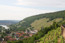 Blick auf Klingenberg: Rechts die Weinbergsteillagen, darüber Wald. Links unten Klingenberg mit dem Main. Im Hintergrund Erlenbach am Main.