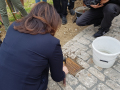 Staatsministerin Michaela Kaniber verlegt im Pflaster des Zugangsweges eine Bronzetafel, die an die Pflanzung der letzten Rebe erinnert. Sie hält einen Hammer in der Hand und klopft die Platte fest.