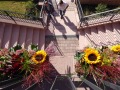 Blick von oben auf die mit Blumen geschmückte Treppenanlage.