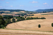 Reichhaltig strukturtierte, hängige und weite Agrarlandschaft entlang eines Tales mit vielen abgeernteten Getreidefeldern.