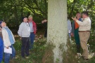 7 Personen stehen um einen Großbaum und bestimmten seinen Tauschwert.