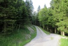 Geschotterter Waldweg, der horizontal verläuft und eine Abzweig hat, der bergauf führt.