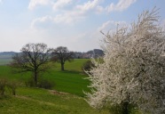 Reichhaltig strukturierte Agrarlandschaft im Frühjahr. Im Vordergrund ein blühender Schlehenbusch und zwei Großbäume, die noch nicht ausgeschlagen haben. Im Hintergrund ist ein Dorf erkennbar.